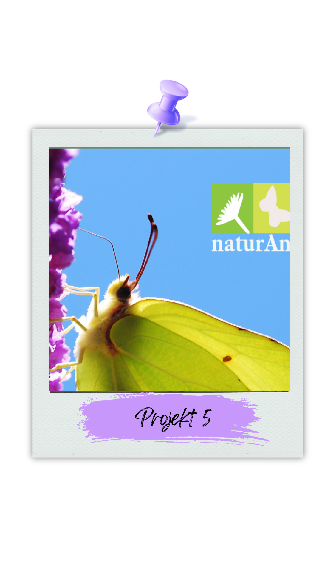 Projekt5